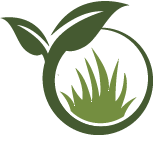 Curb Appeal Landscaping